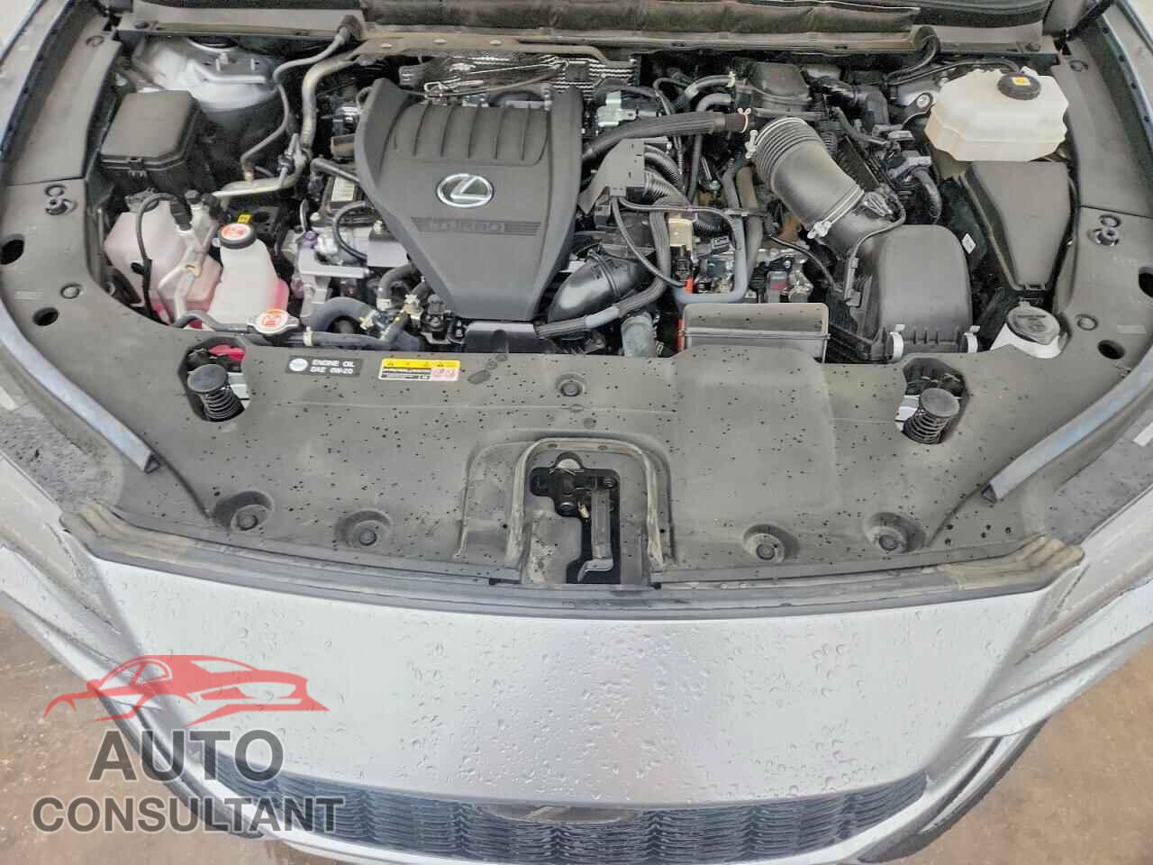 LEXUS RX450 2023 - 2T2BCMEA2PC010548