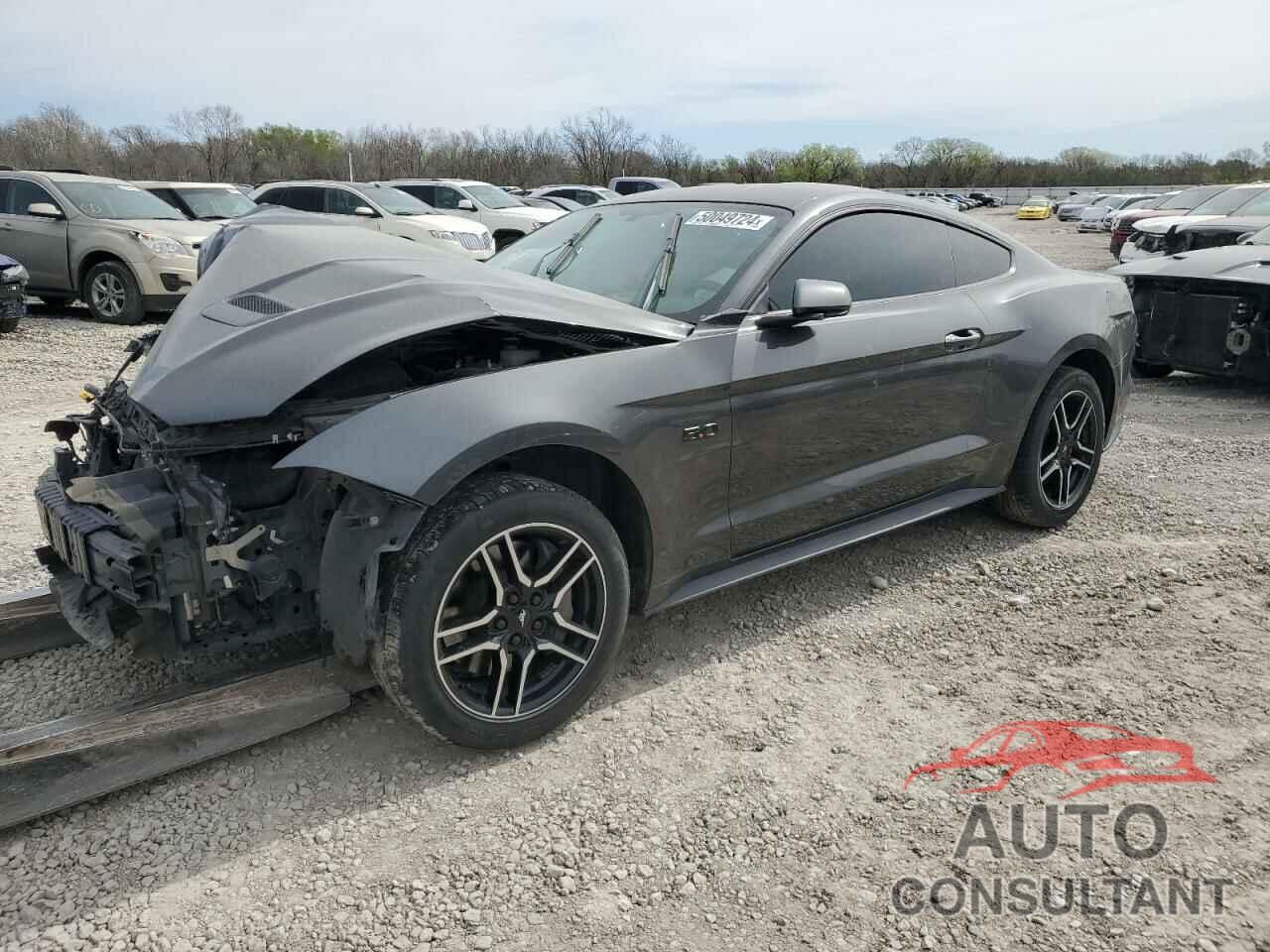 FORD MUSTANG 2019 - 1FA6P8CF2K5115120