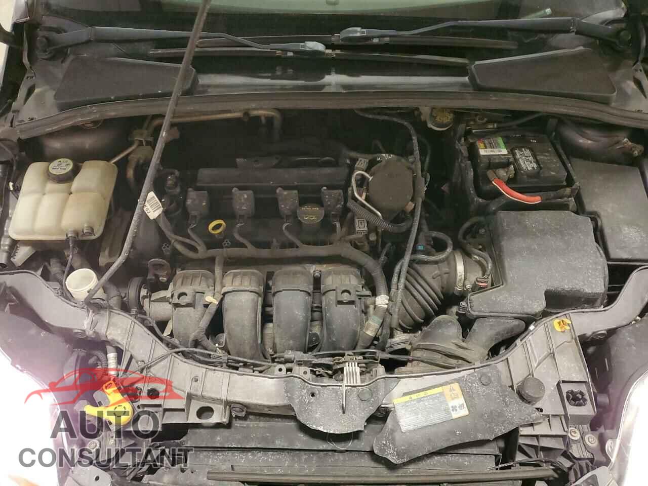 FORD FOCUS 2012 - 1FAHP3H29CL386660