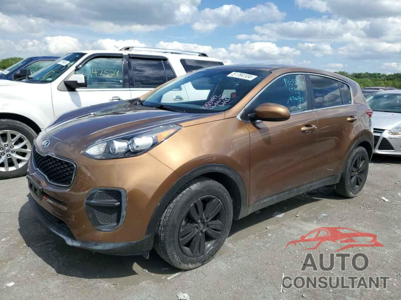 KIA SPORTAGE 2017 - KNDPM3AC1H7233305