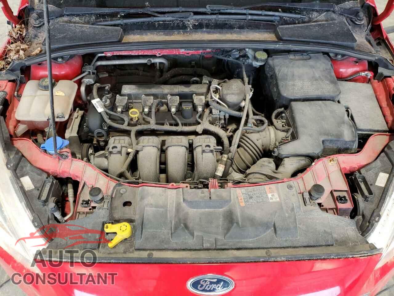 FORD FOCUS 2015 - 1FADP3F24FL335685