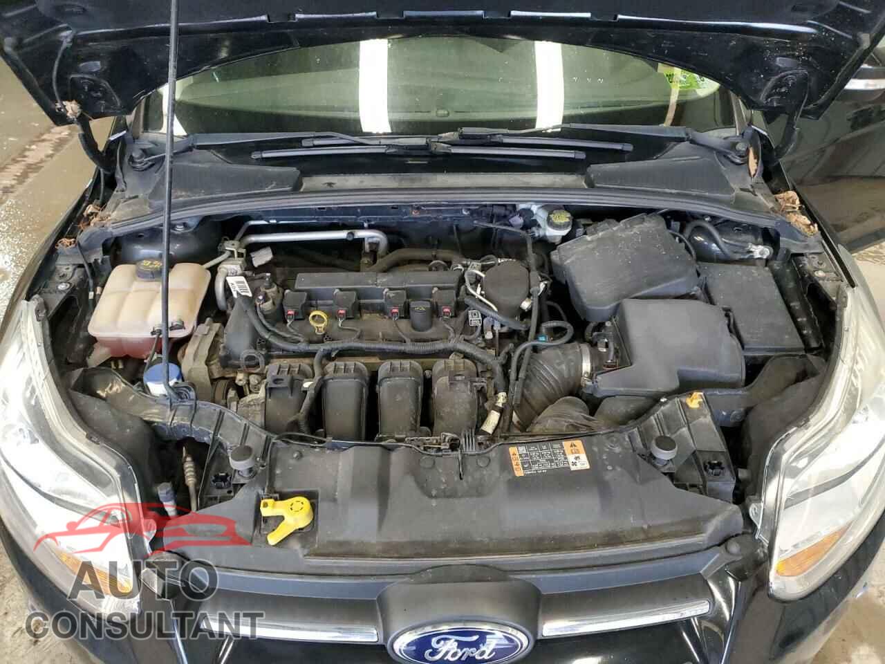 FORD FOCUS 2014 - 1FADP3K29EL449489