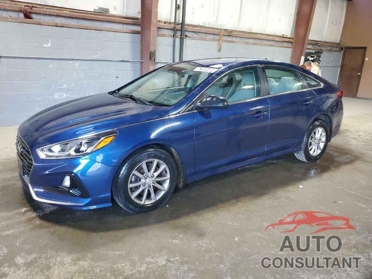 HYUNDAI SONATA 2019 - 5NPE24AF7KH798528