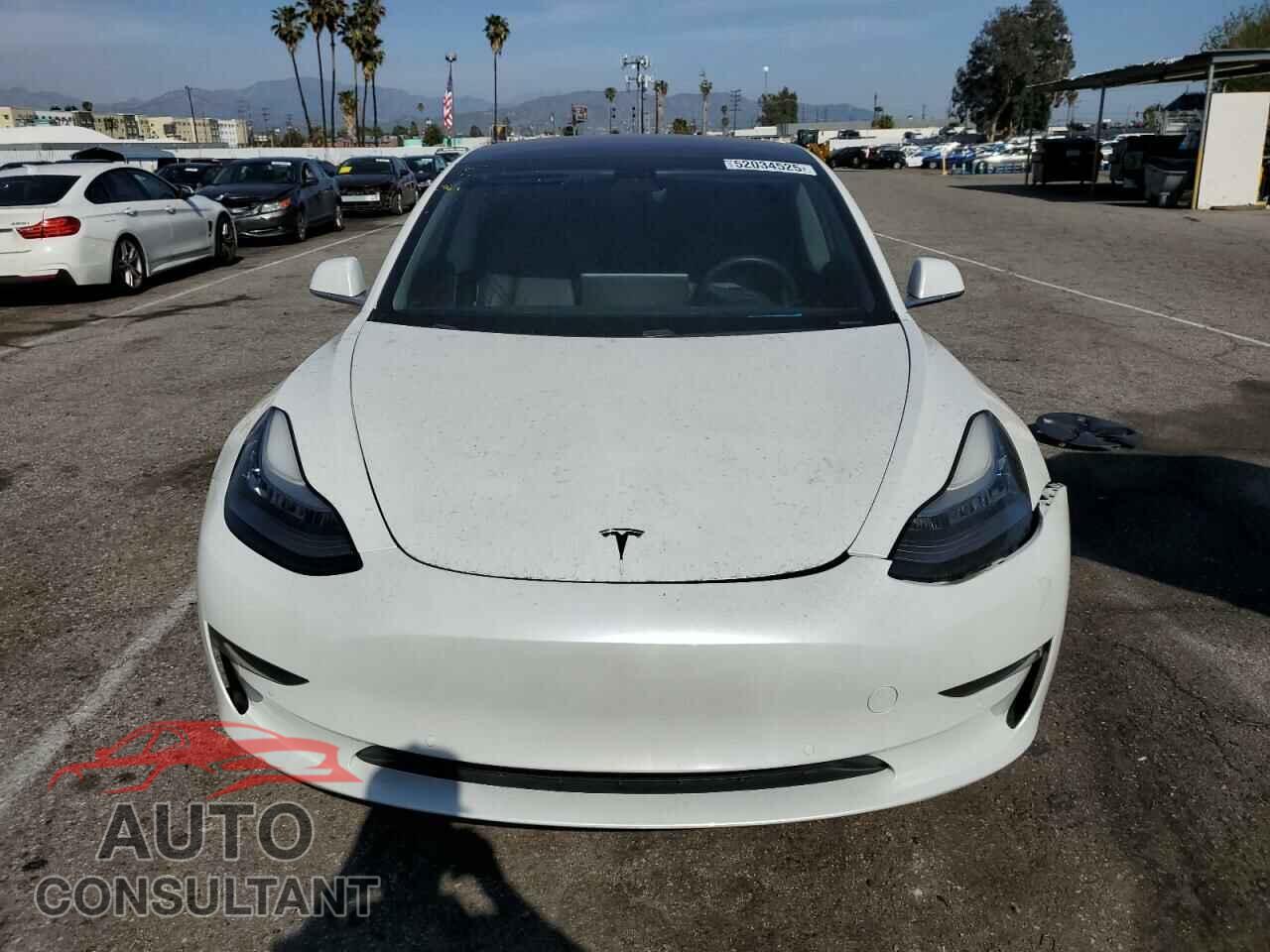 TESLA MODEL 3 2019 - 5YJ3E1EA5KF299768