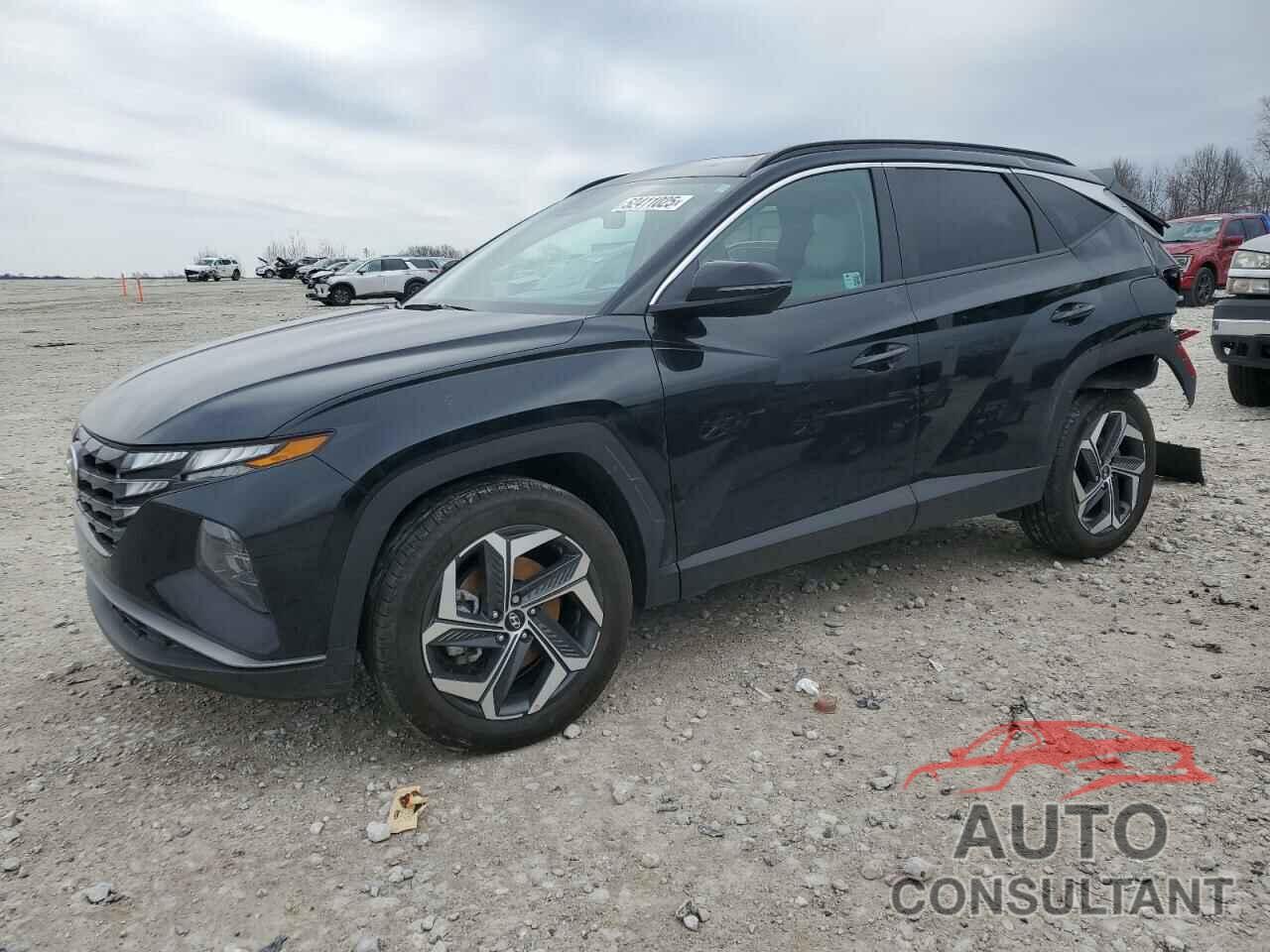 HYUNDAI TUCSON 2024 - 5NMJFCDE1RH398116
