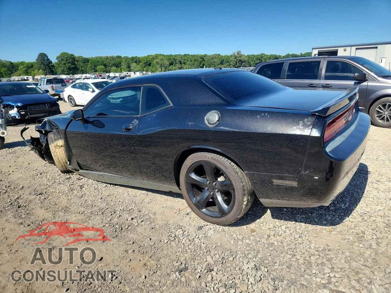 DODGE CHALLENGER 2014 - 2C3CDYAG8EH307564