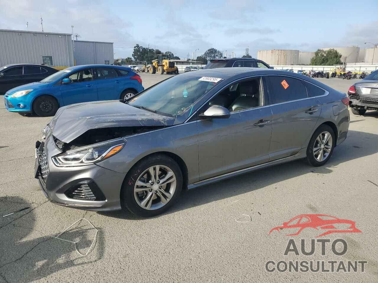 HYUNDAI SONATA 2019 - 5NPE34AF4KH814200