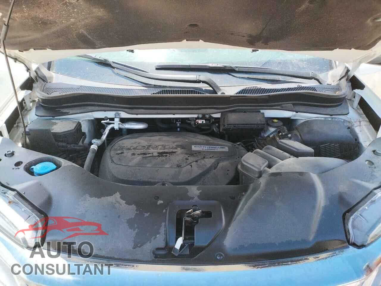 HONDA PILOT 2019 - 5FNYF5H68KB000825