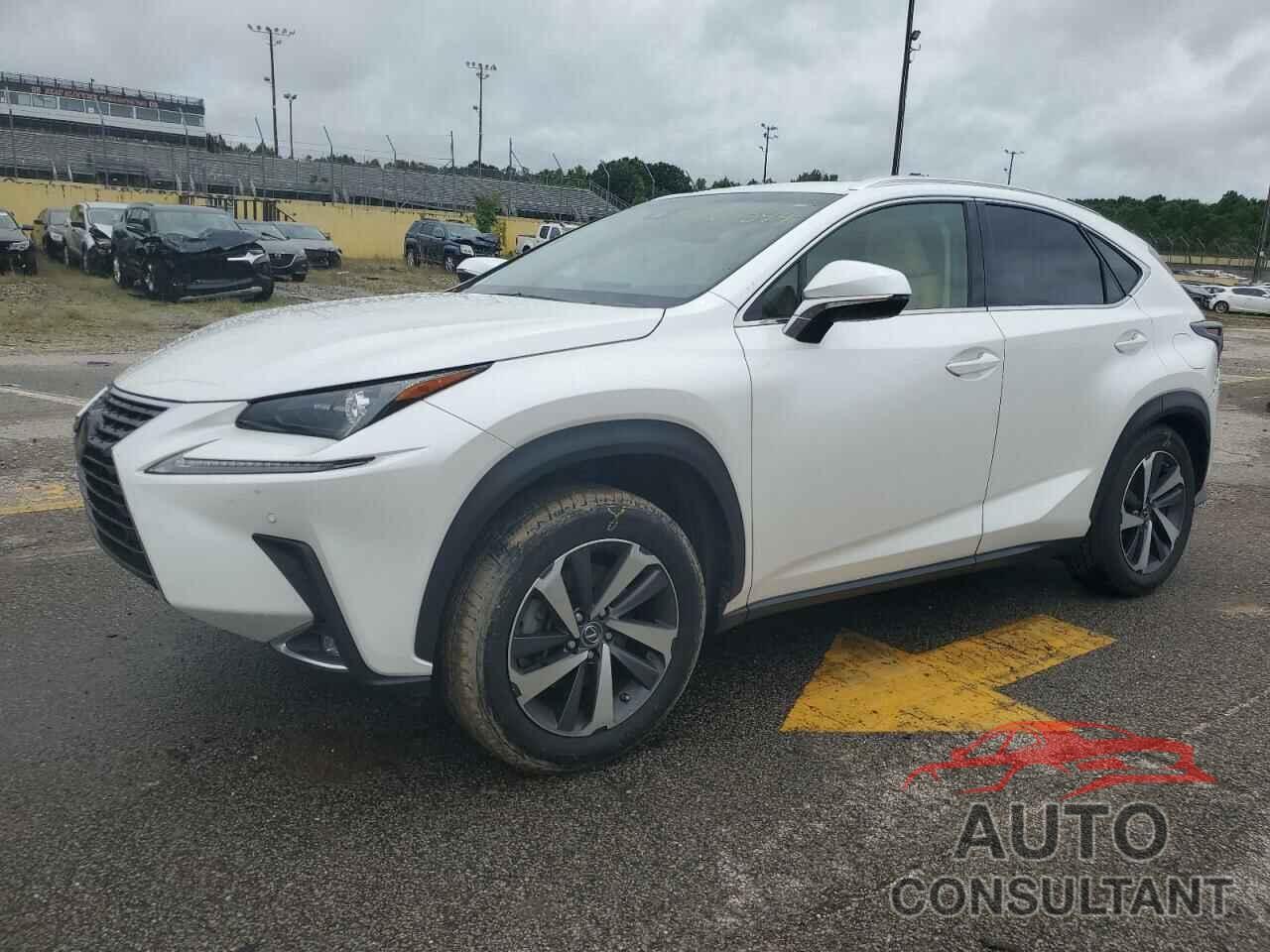 LEXUS NX 2019 - JTJYARBZ8K2143363