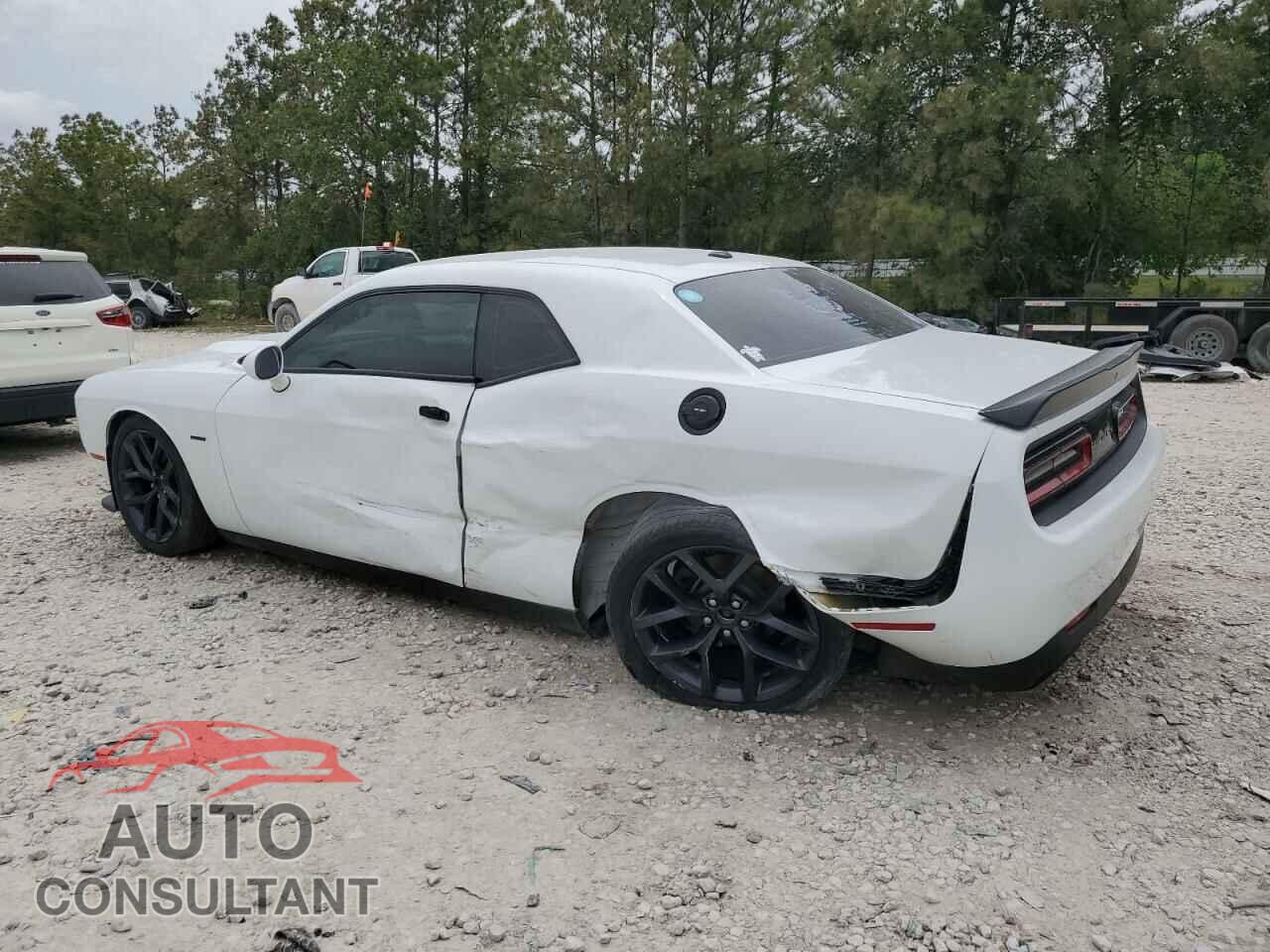 DODGE CHALLENGER 2019 - 2C3CDZBT7KH606198