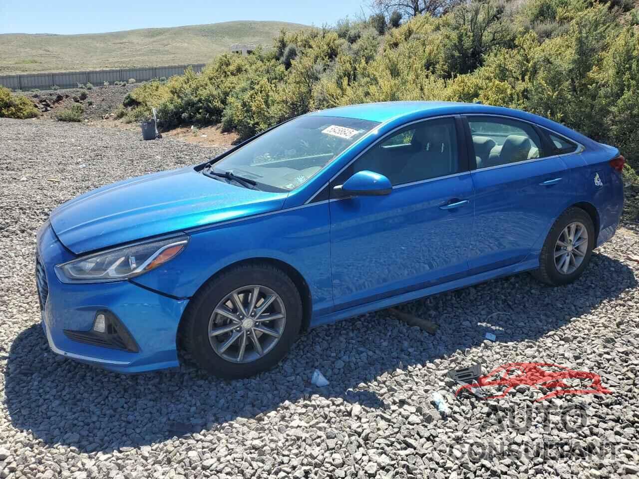 HYUNDAI SONATA 2019 - 5NPE24AF2KH770569