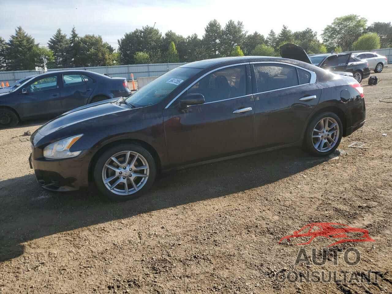 NISSAN MAXIMA 2010 - 1N4AA5AP7AC855326