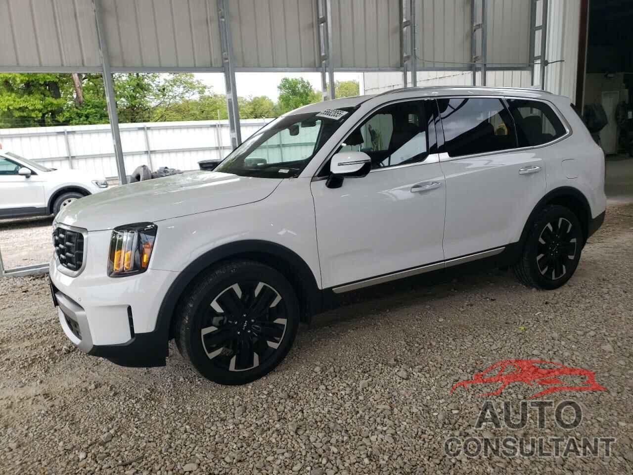 KIA TELLURIDE 2024 - 5XYP5DGC8RG431636