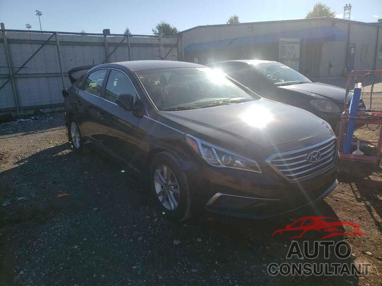 HYUNDAI SONATA 2016 - 5NPE24AF4GH356216