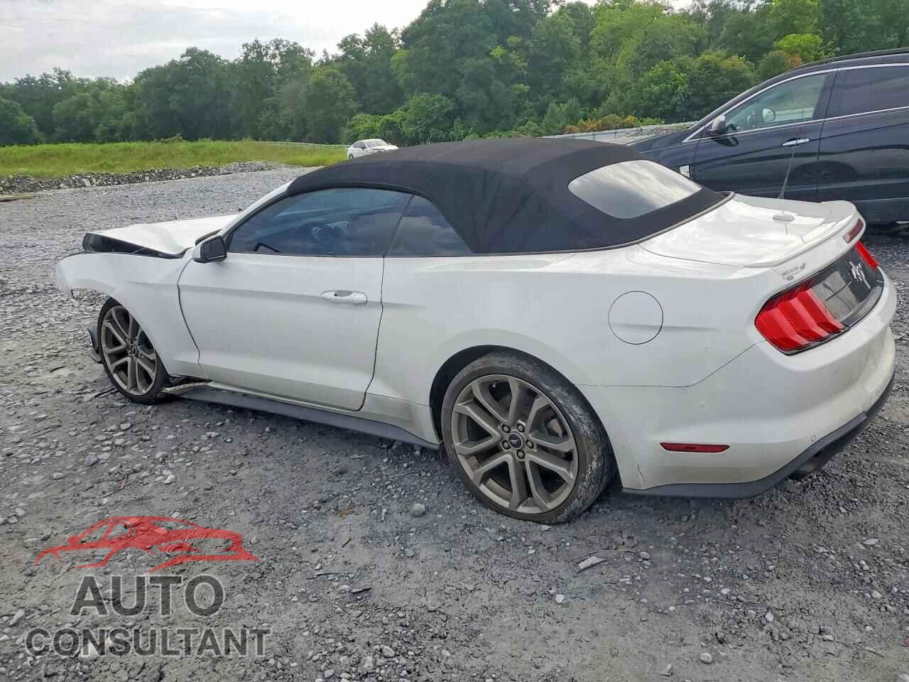 FORD MUSTANG 2019 - 1FATP8UH9K5116686
