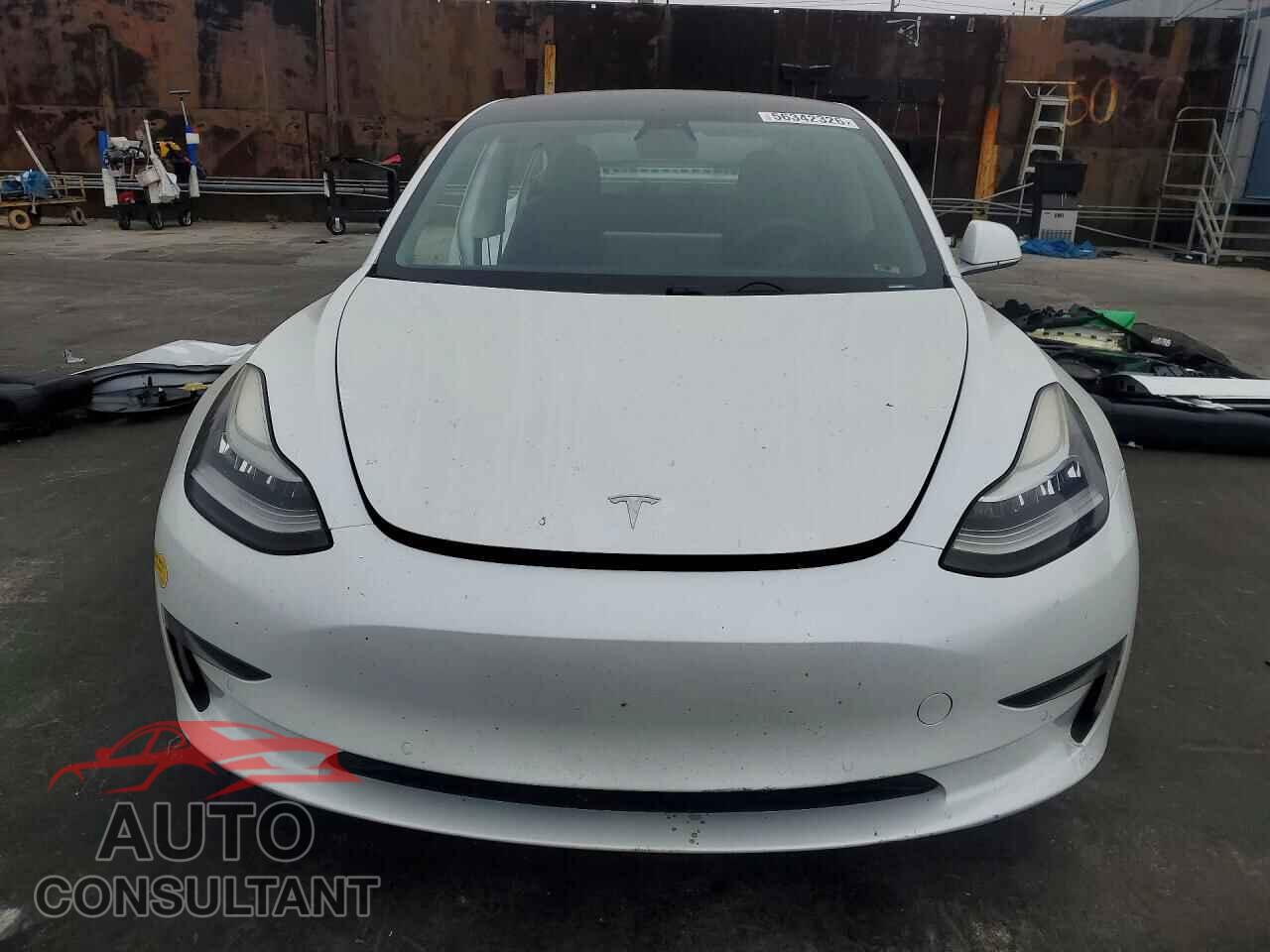 TESLA MODEL 3 2019 - 5YJ3E1EA7KF436581