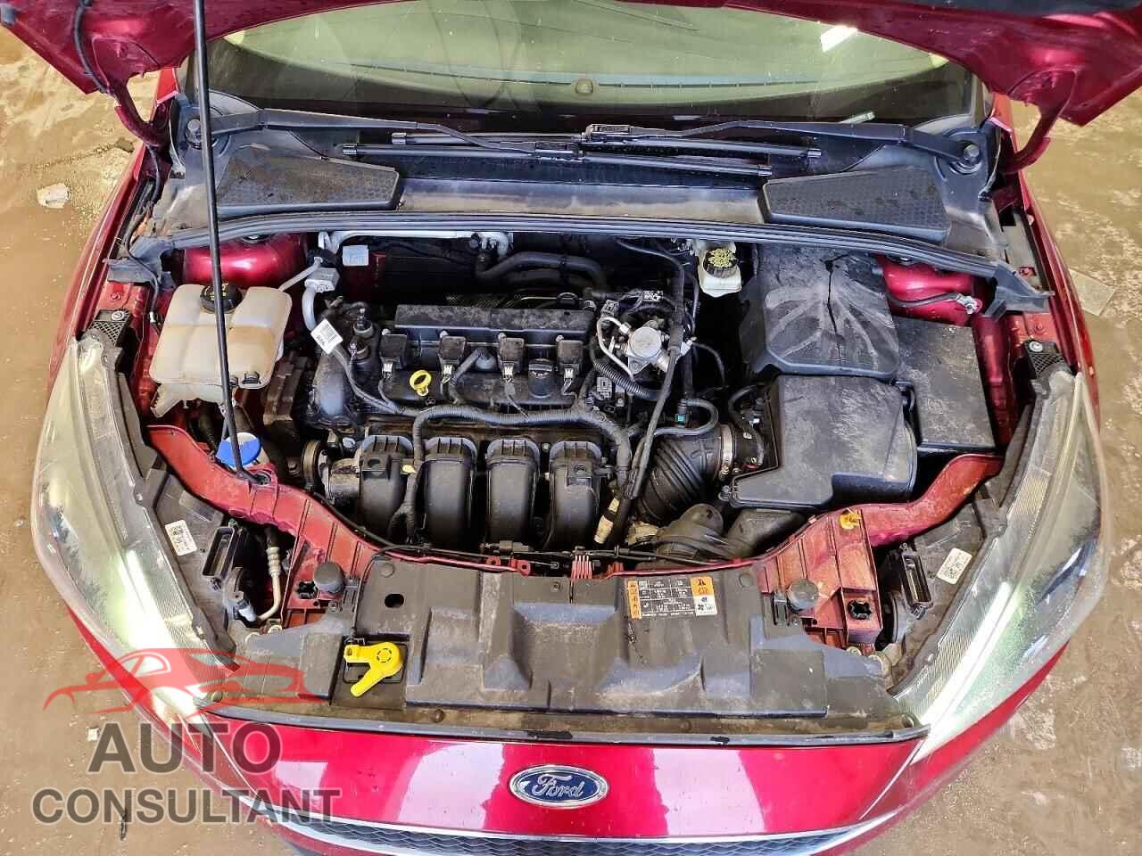 FORD FOCUS 2017 - 1FADP3H29HL221052