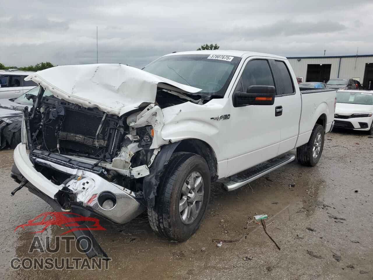 FORD F-150 2013 - 1FTFX1EF4DFD03407