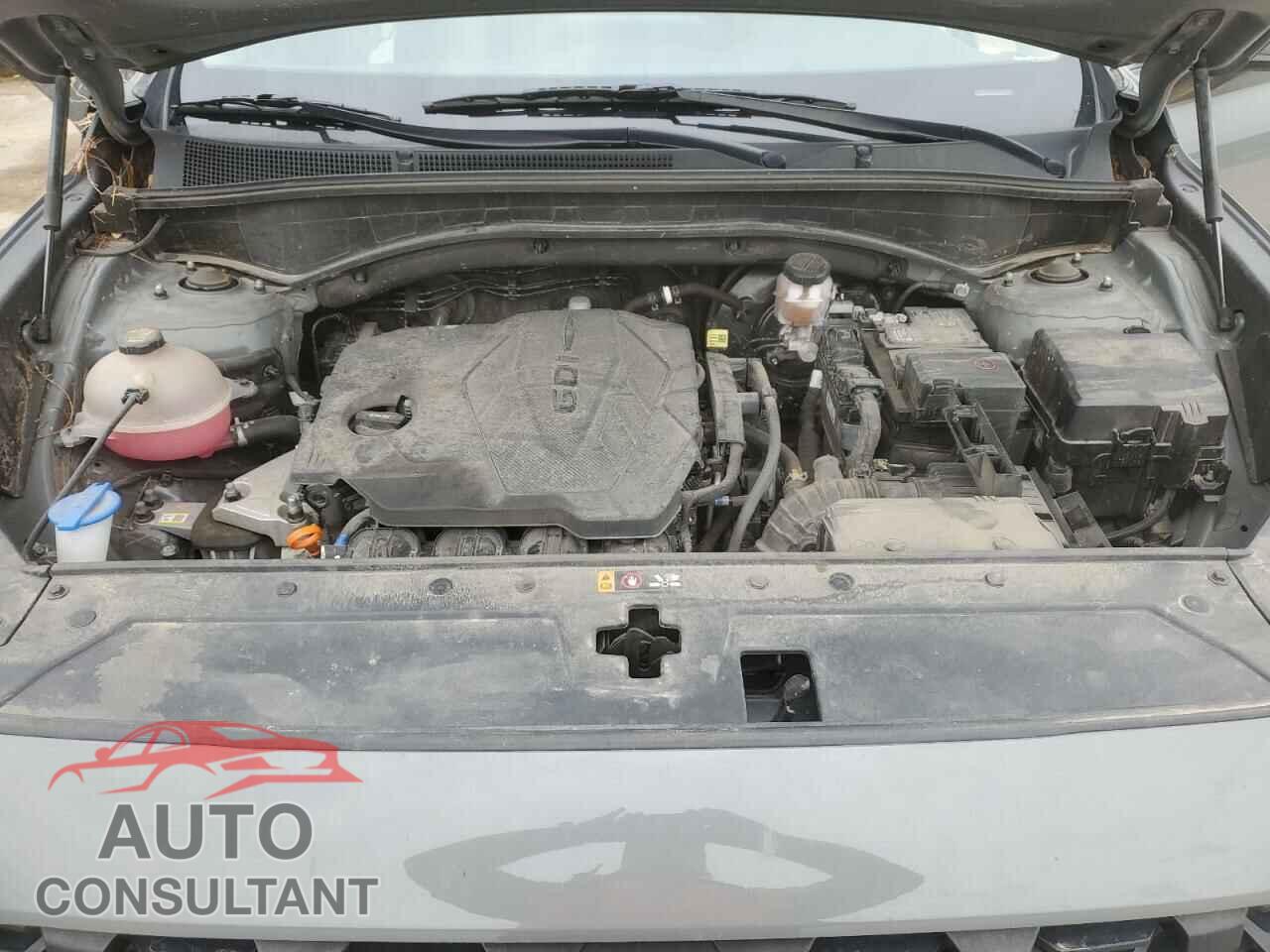 HYUNDAI SANTA FE 2023 - 5NMS2DAJ3PH515005