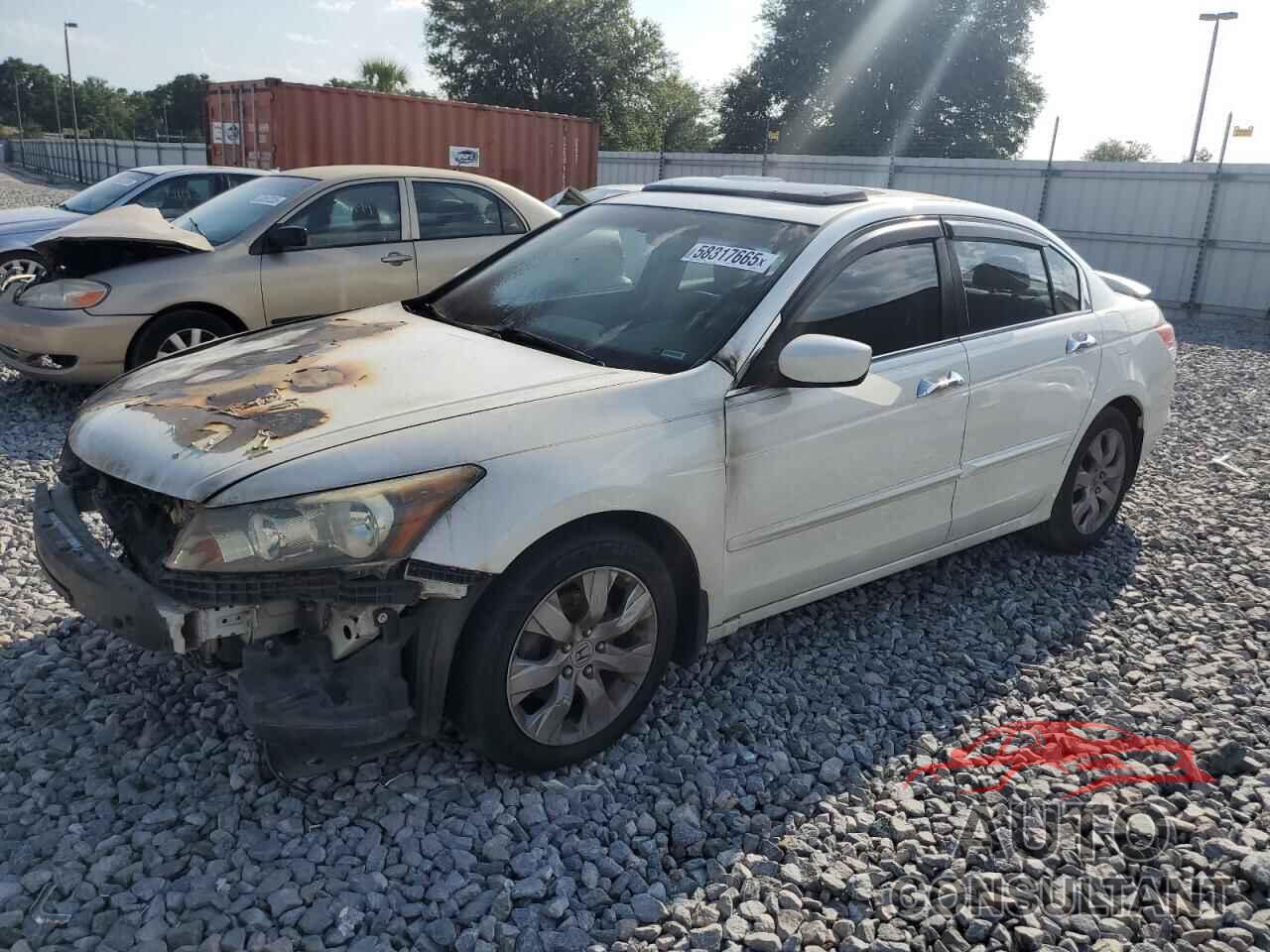 HONDA ACCORD 2010 - 5KBCP3F86AB016313