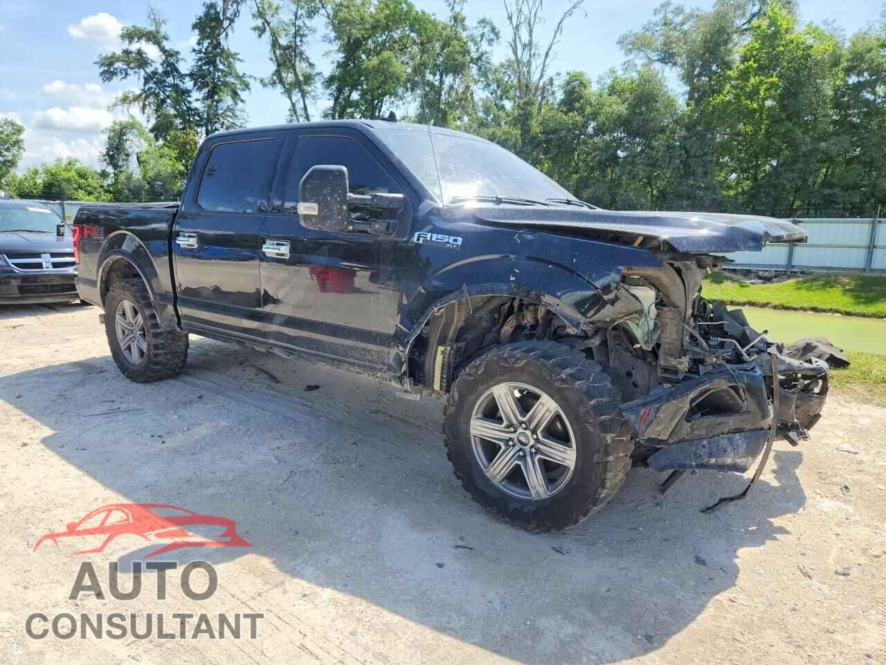FORD F150 2019 - 1FTEW1EP9KFC58419