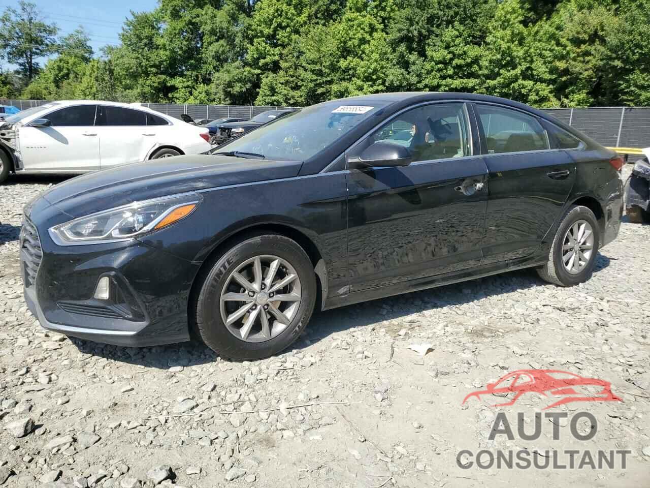 HYUNDAI SONATA 2018 - 5NPE24AF6JH657724