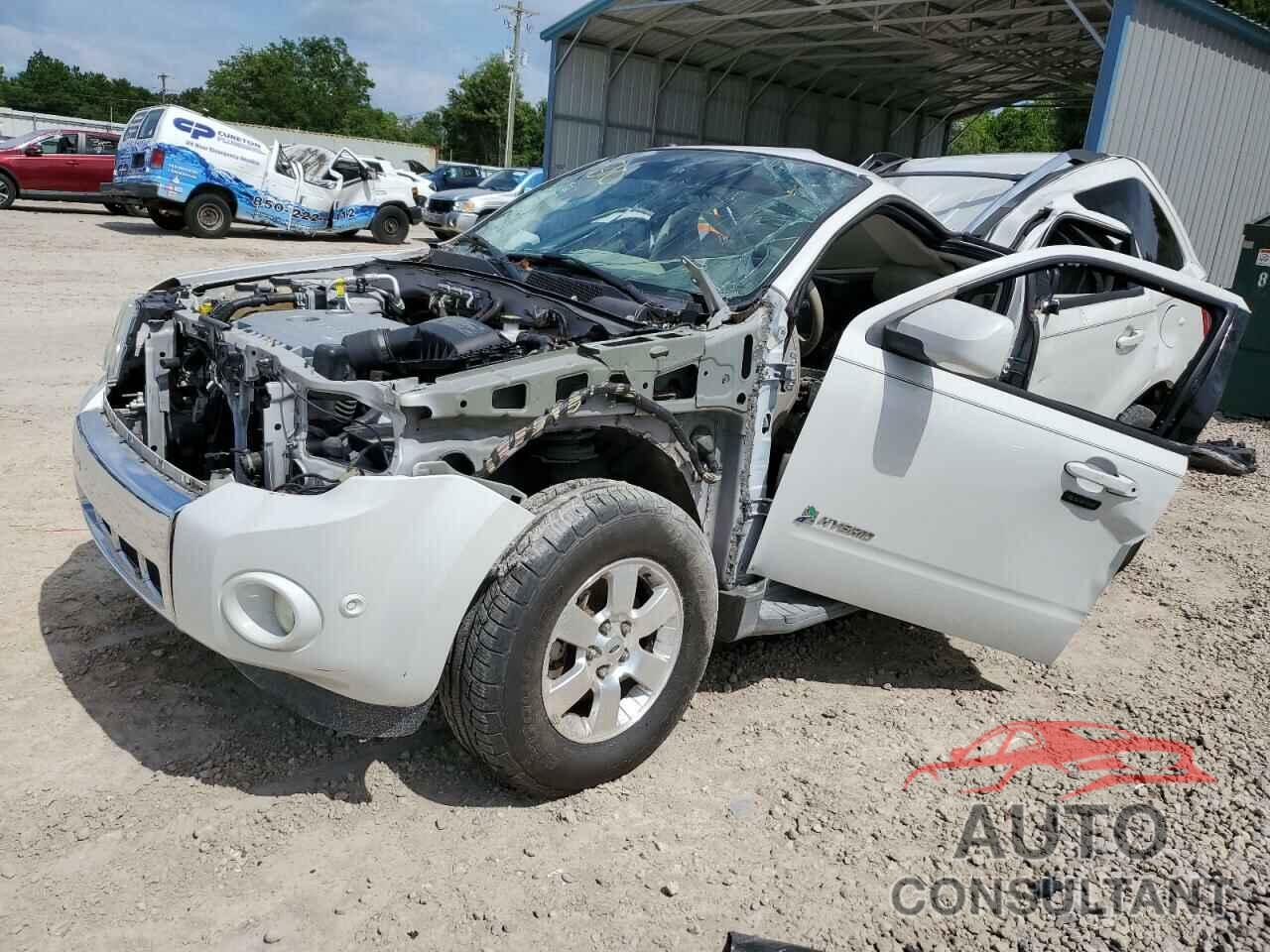 FORD ESCAPE 2011 - 1FMCU4K31BKA31454
