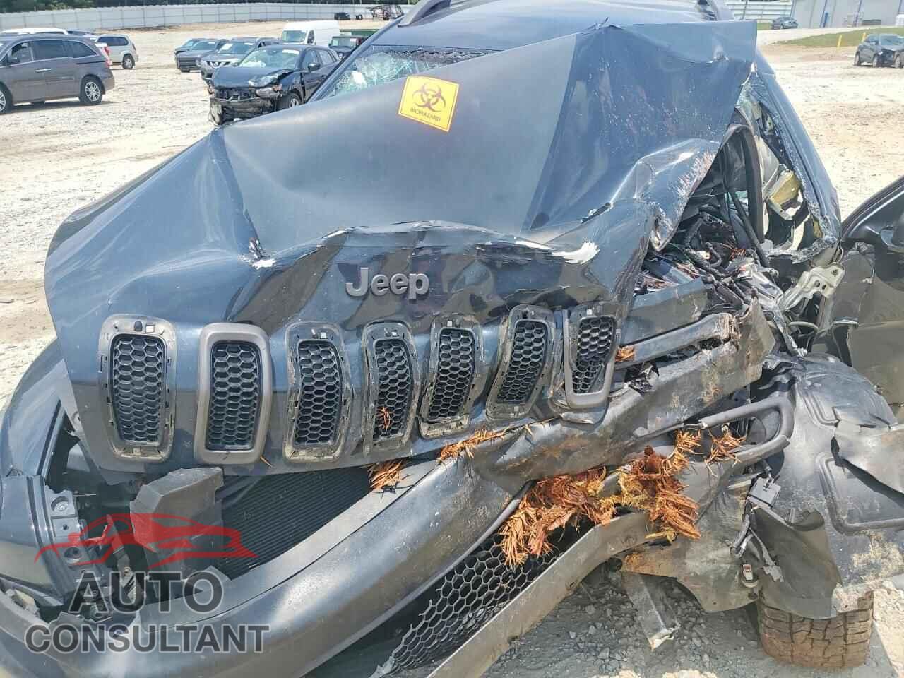 JEEP CHEROKEE 2017 - 1C4PJMBS0HW529457