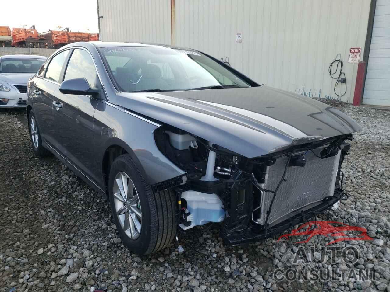 HYUNDAI SONATA 2019 - 5NPE24AF1KH805196