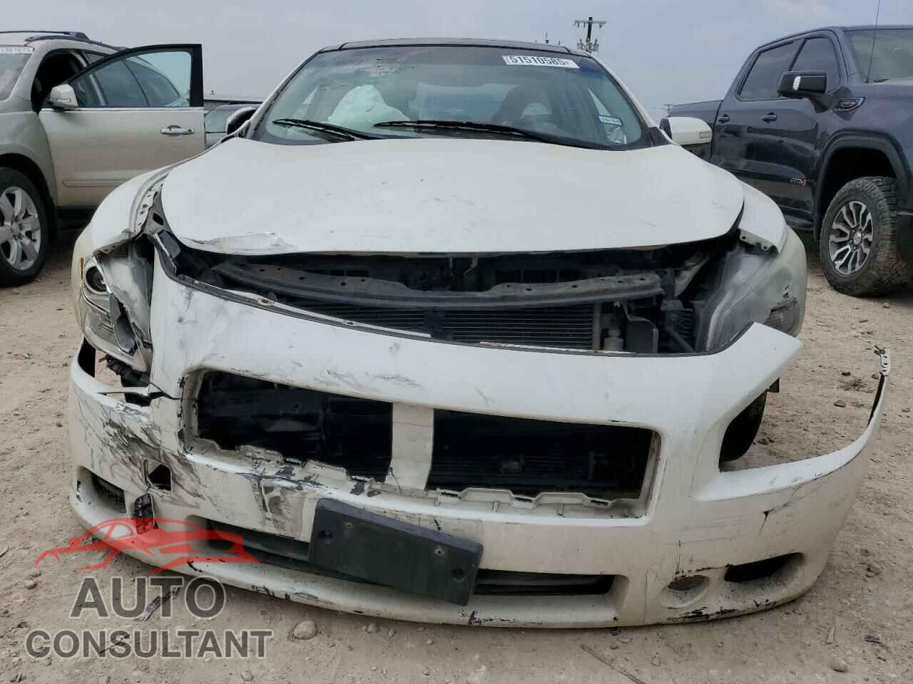 NISSAN MAXIMA 2011 - 1N4AA5AP8BC831795