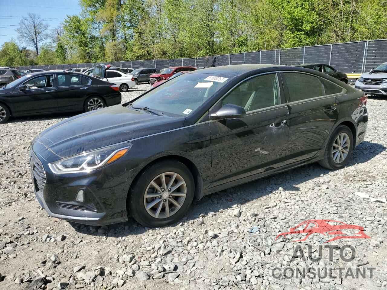 HYUNDAI SONATA 2019 - 5NPE24AF8KH747006