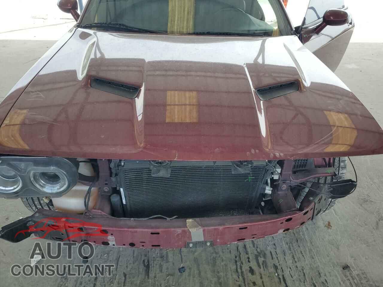 DODGE CHALLENGER 2019 - 2C3CDZAG2KH684540