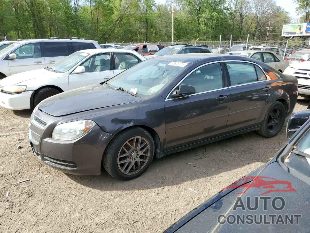 CHEVROLET MALIBU 2012 - 1G1ZA5E09CF308756