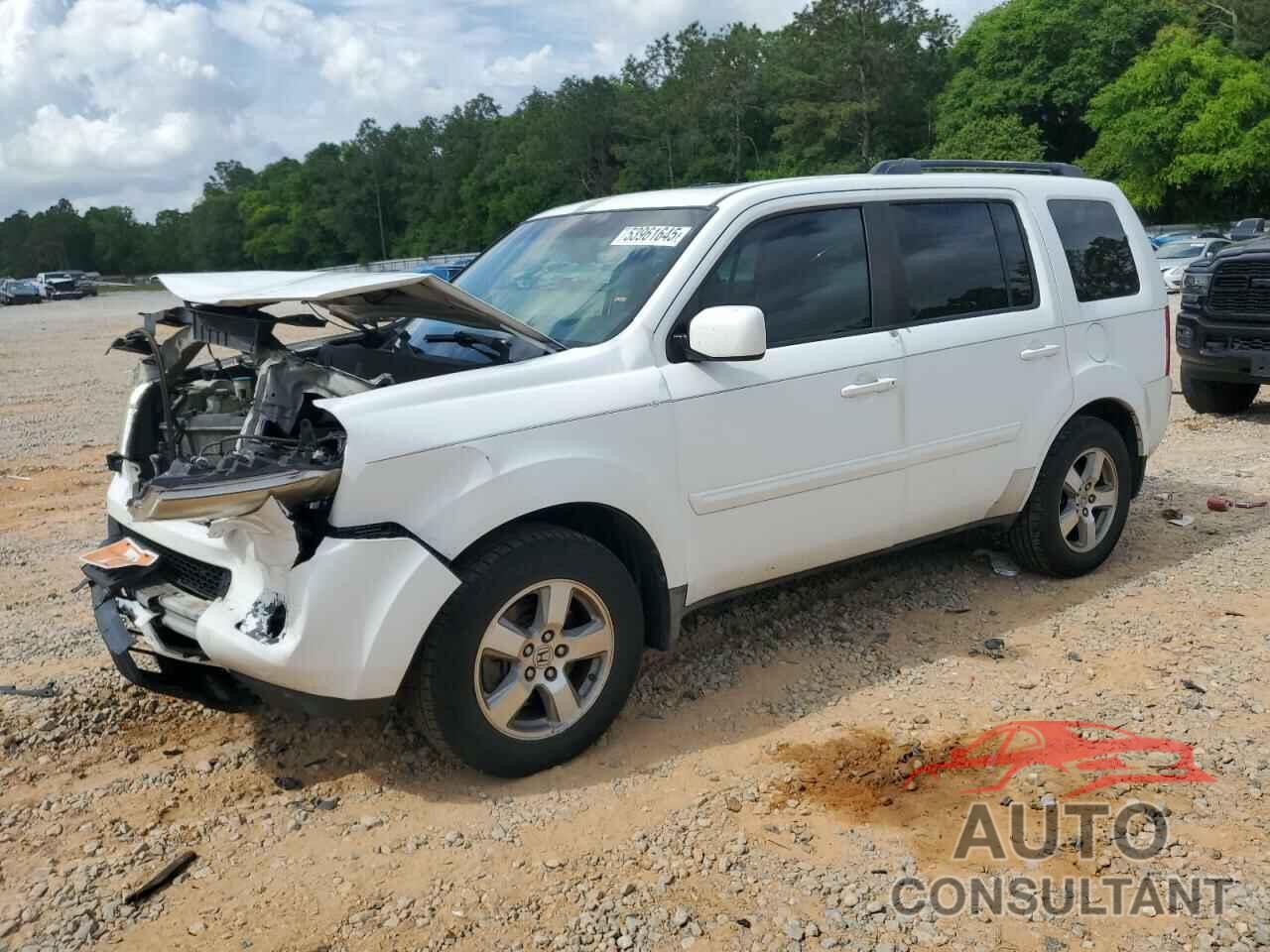 HONDA PILOT 2009 - 5FNYF48619B037316