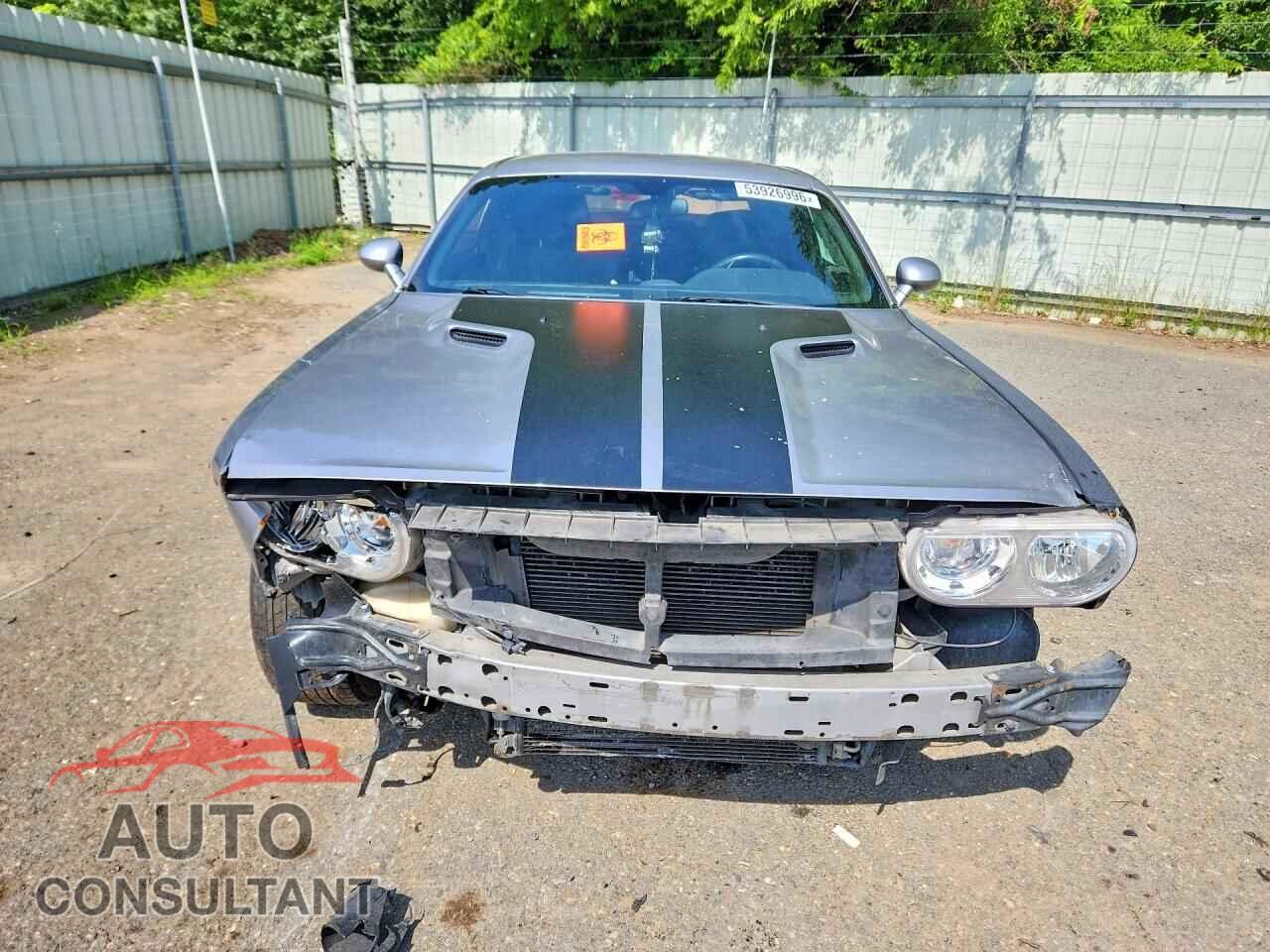DODGE CHALLENGER 2014 - 2C3CDYAG8EH289700
