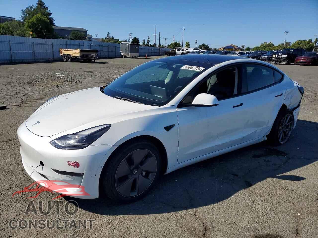 TESLA MODEL 3 2022 - 5YJ3E1EB3NF344655