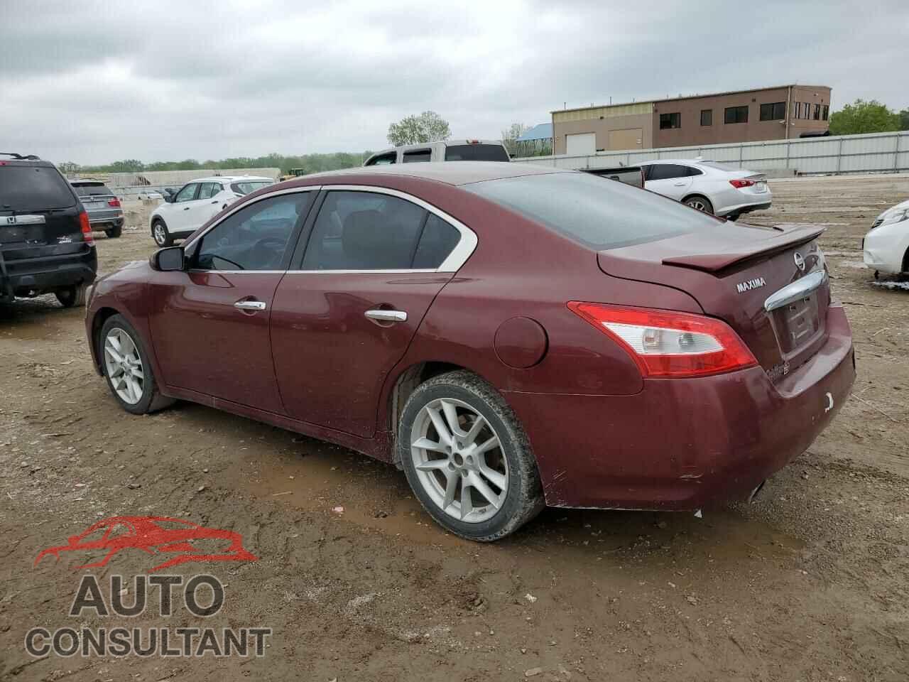 NISSAN MAXIMA 2011 - 1N4AA5AP4BC805839