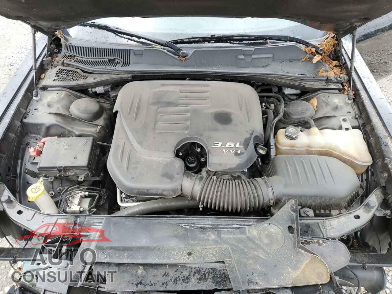 DODGE CHALLENGER 2019 - 2C3CDZAG0KH557835