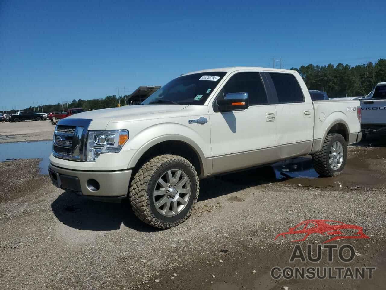 FORD F-150 2009 - 1FTPW14V79KB16273