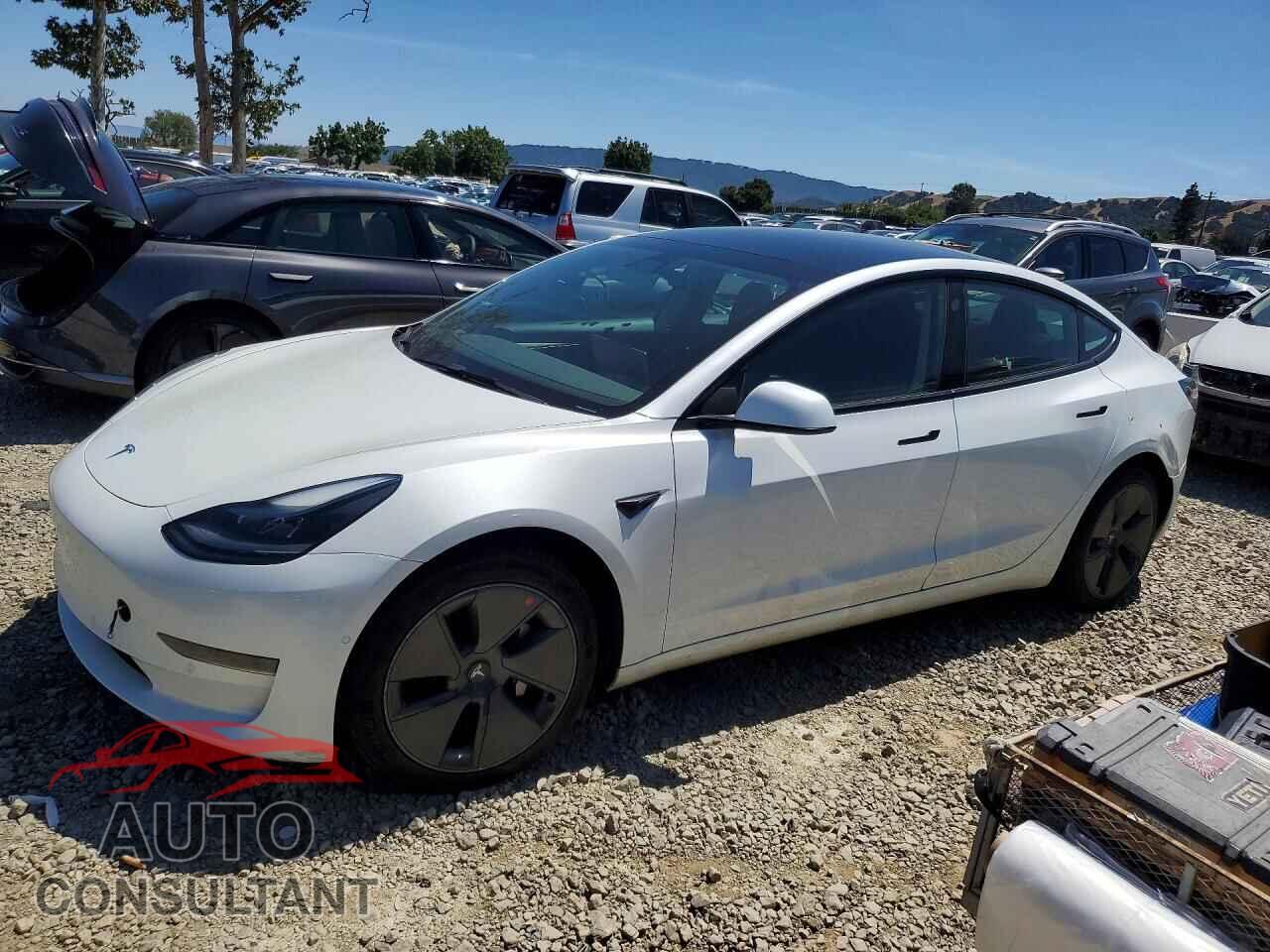 TESLA MODEL 3 2021 - 5YJ3E1EA3MF095733