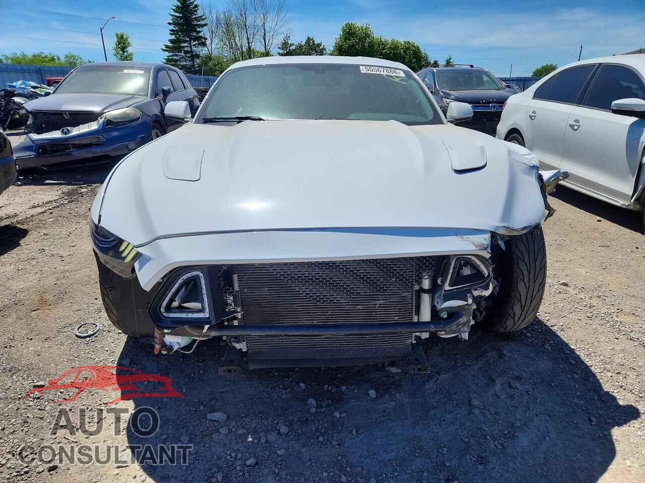 FORD MUSTANG 2017 - 1FA6P8CF3H5303508