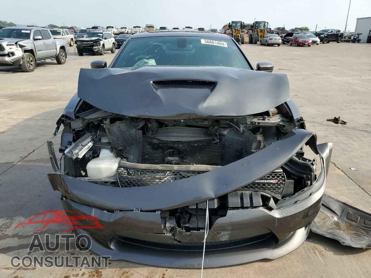 DODGE CHARGER 2019 - 2C3CDXCT7KH633226