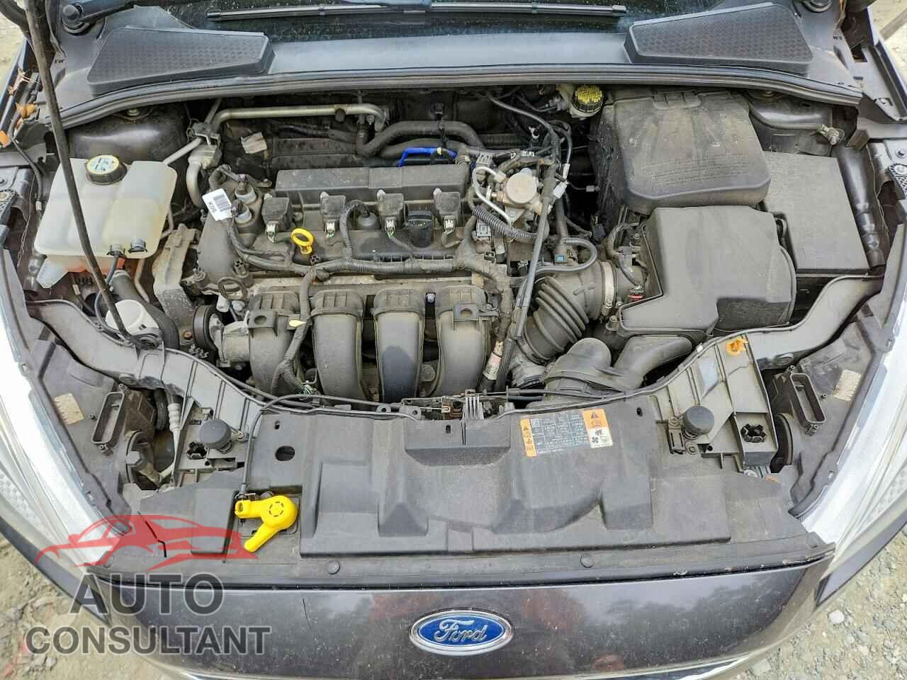 FORD FOCUS 2016 - 1FADP3F29GL326899