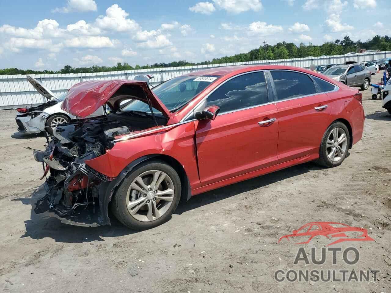 HYUNDAI SONATA 2019 - 5NPE34AF1KH778367