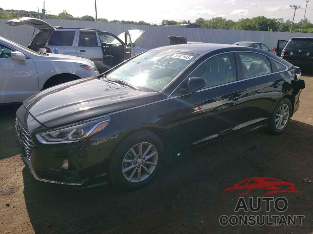 HYUNDAI SONATA 2019 - 5NPE24AF1KH806493