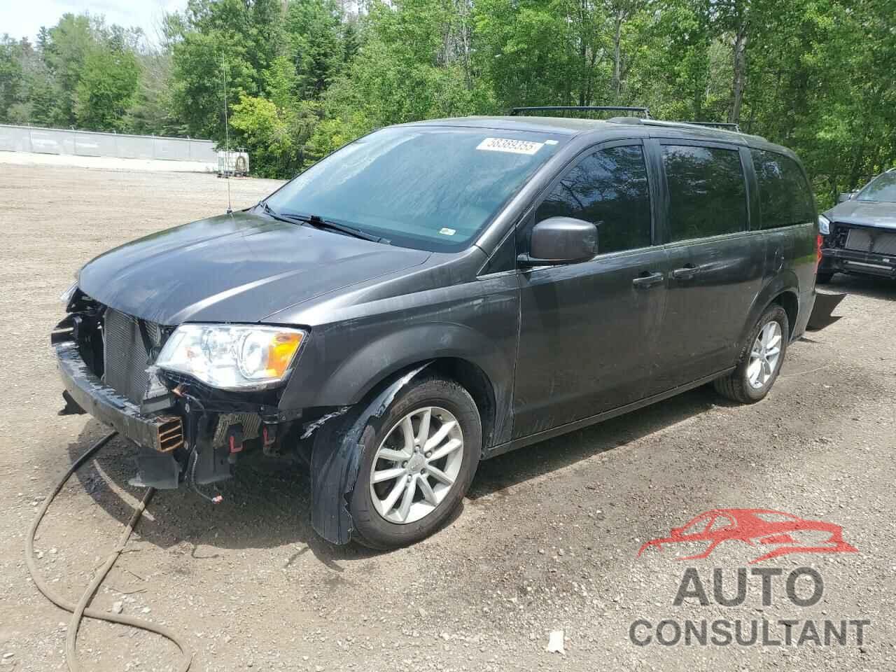 DODGE CARAVAN 2019 - 2C4RDGBG0KR602212