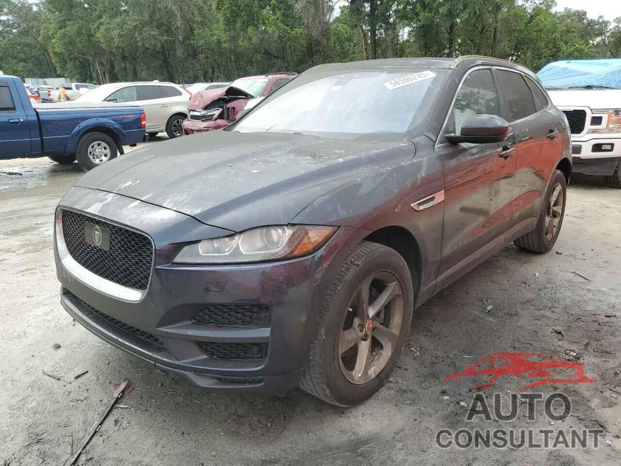 JAGUAR F-PACE 2019 - SADCK2FN7KA394216