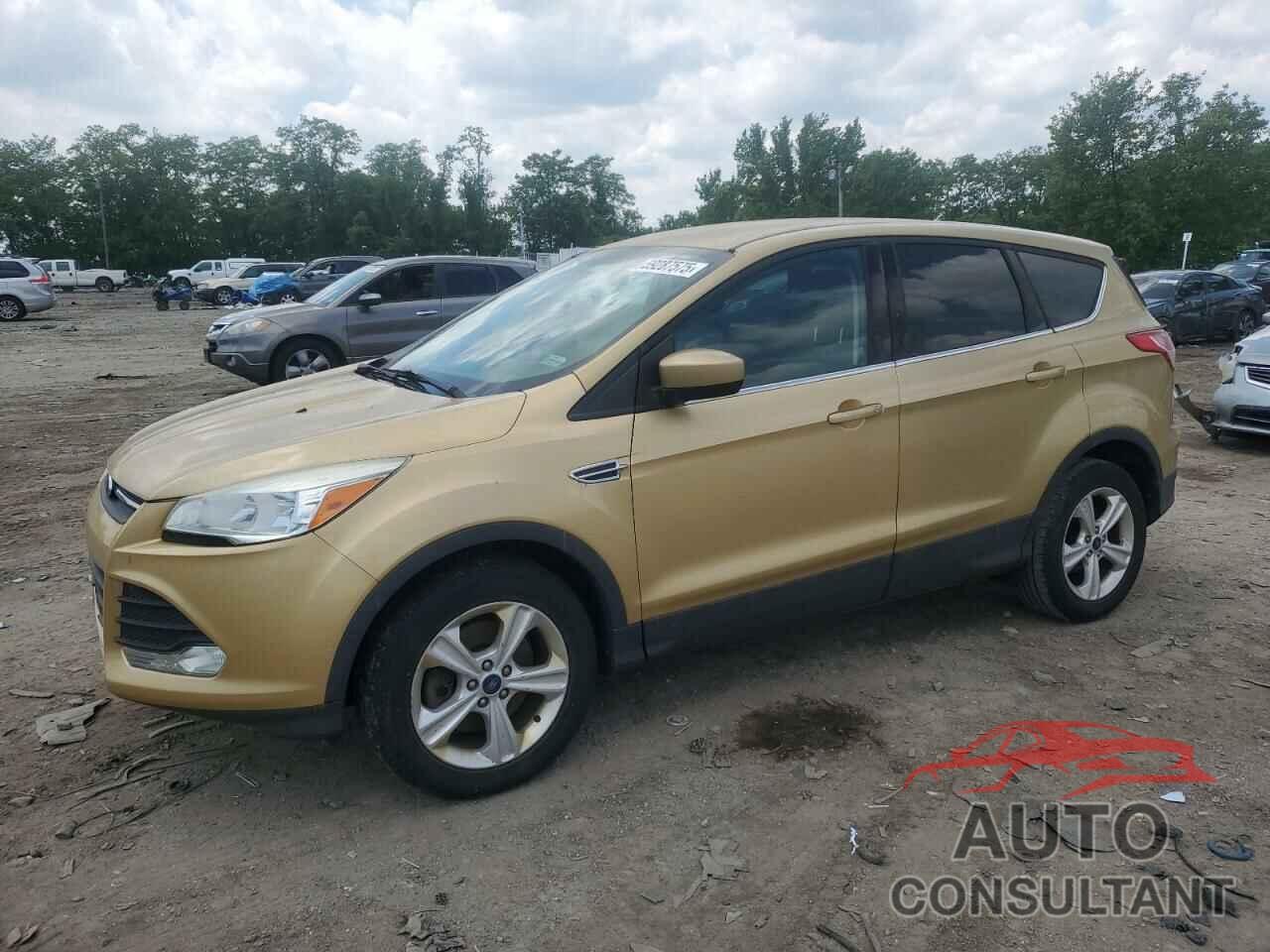 FORD ESCAPE 2014 - 1FMCU9GX2EUD35216