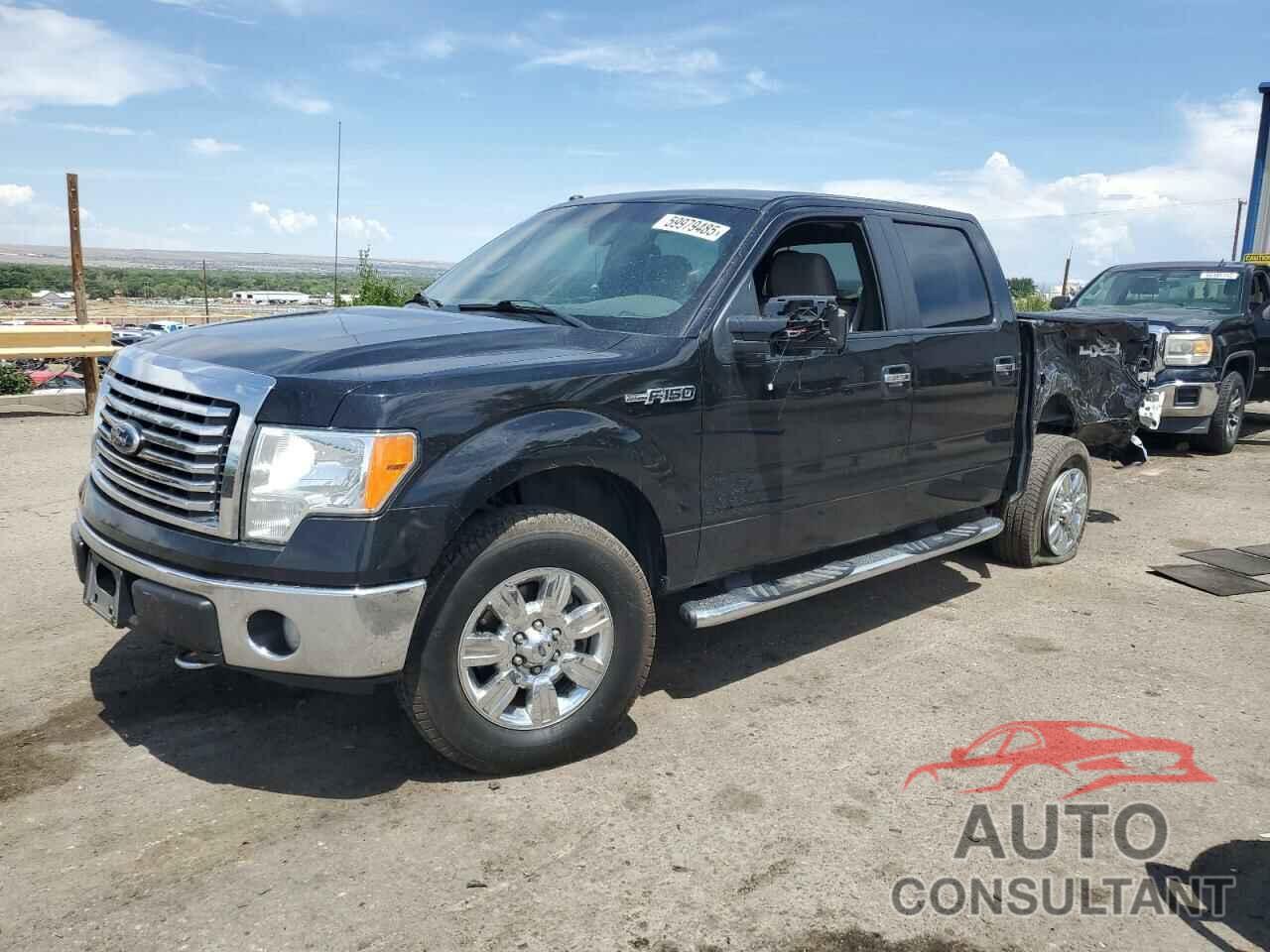 FORD F-150 2010 - 1FTEW1E89AFB36912