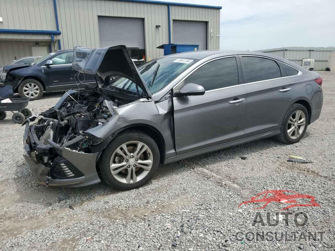 HYUNDAI SONATA 2019 - 5NPE34AF1KH761410